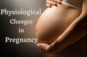 Physiological Changes in Pregnancy- ToronTek Canada- Blog