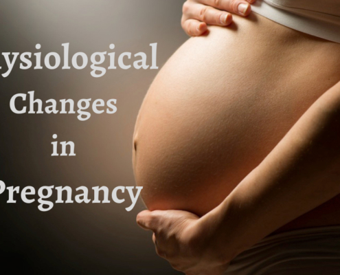 Physiological Changes in Pregnancy- ToronTek Canada- Blog
