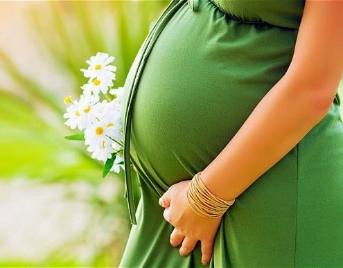 Pregnant woman standing in a sunny room, holding a flower, symbolizing a healthy pregnancy.